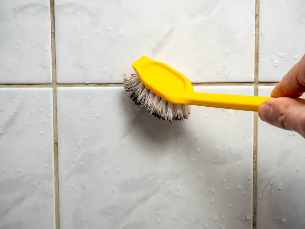 Best Mold Remediation for Schools in Forestville, CA