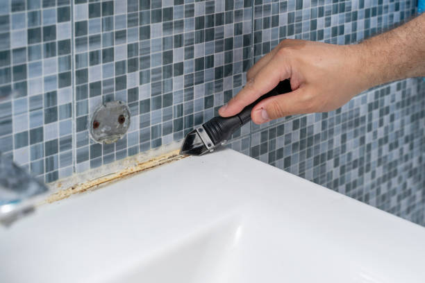 Best Bathroom Mold Remediation in Forestville, CA